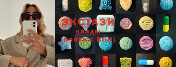крисы Новозыбков