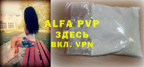 стаф Новодвинск