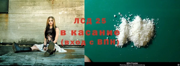 крисы Новозыбков