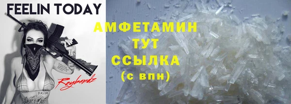 стаф Новодвинск