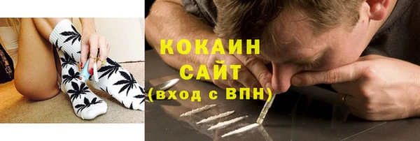 стаф Новодвинск