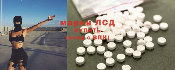крисы Новозыбков