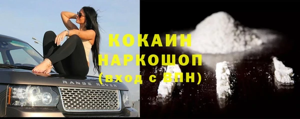 стаф Новодвинск