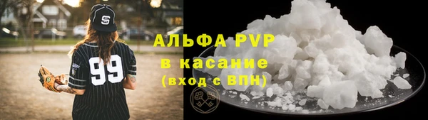 крисы Новозыбков