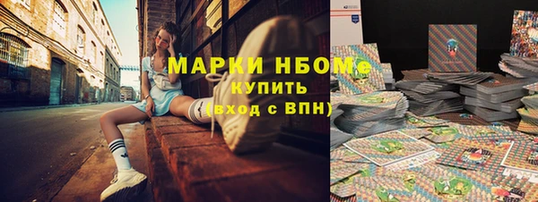 стаф Новодвинск
