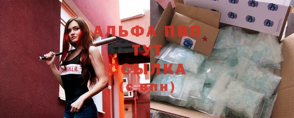 крисы Новозыбков