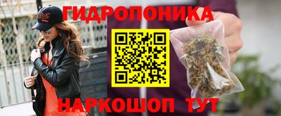 СК Канаш