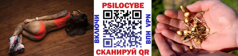 где купить наркоту  Биробиджан  Галлюциногенные грибы прущие грибы 