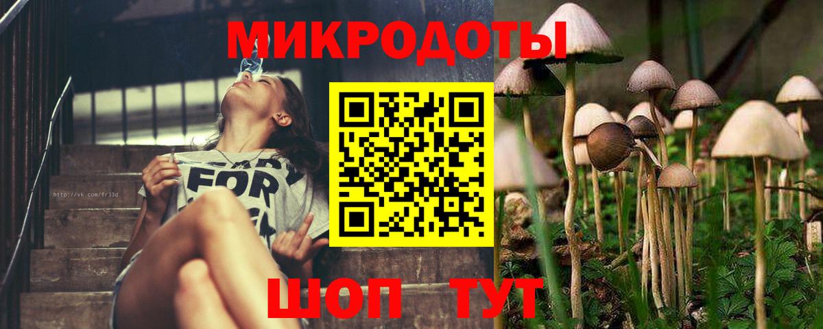 Псилоцибиновые грибы Psilocybine cubensis  Вход с VPN  Биробиджан 
